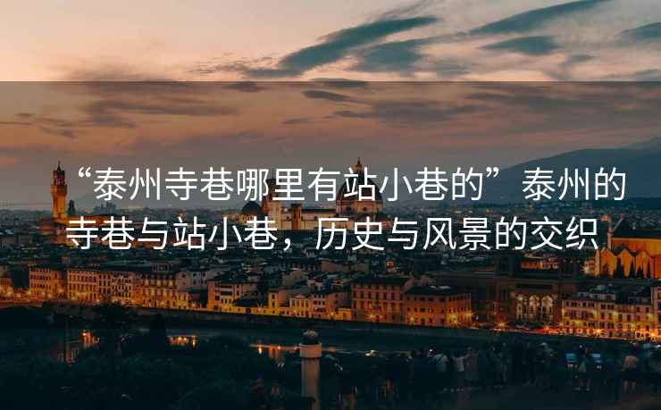“泰州寺巷哪里有站小巷的”泰州的寺巷與站小巷，歷史與風(fēng)景的交織