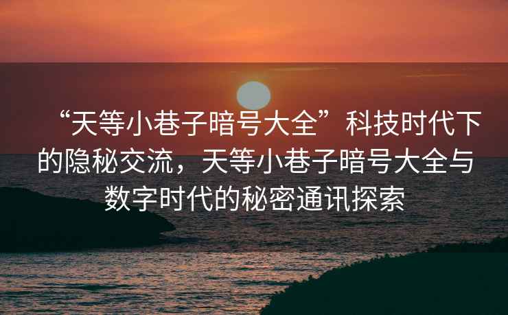 “天等小巷子暗號大全”科技時代下的隱秘交流，天等小巷子暗號大全與數字時代的秘密通訊探索
