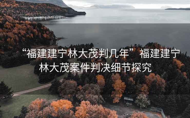 “福建建寧林大茂判幾年”福建建寧林大茂案件判決細節探究