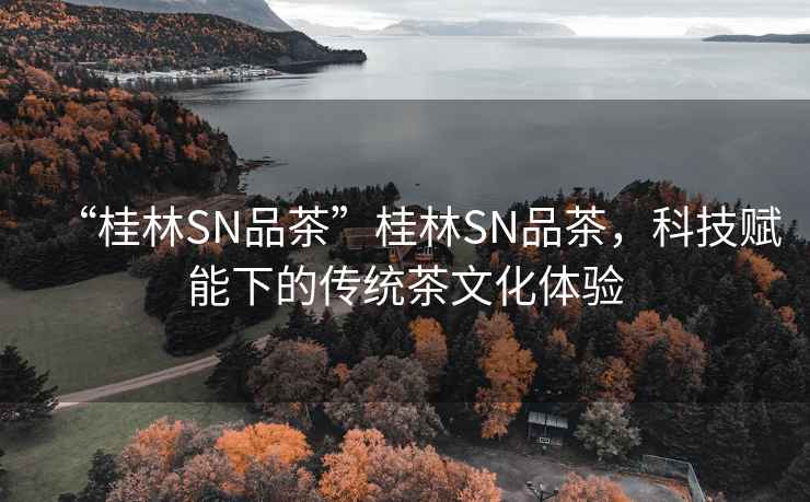“桂林SN品茶”桂林SN品茶，科技賦能下的傳統茶文化體驗