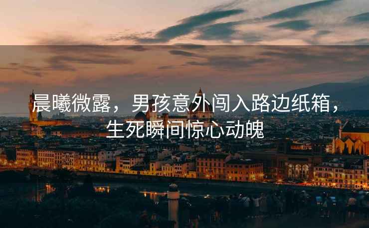 晨曦微露，男孩意外闖入路邊紙箱，生死瞬間驚心動魄