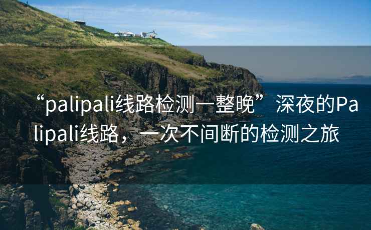 “palipali線路檢測一整晚”深夜的Palipali線路，一次不間斷的檢測之旅