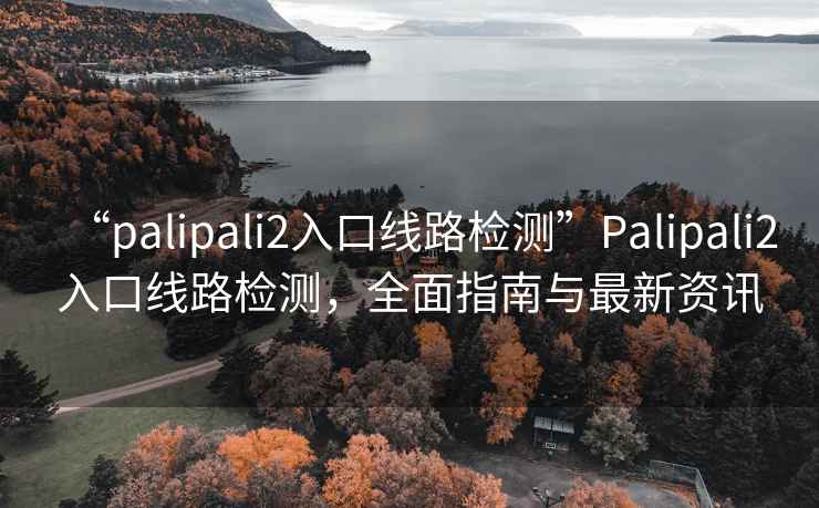 “palipali2入口線路檢測”Palipali2入口線路檢測，全面指南與最新資訊
