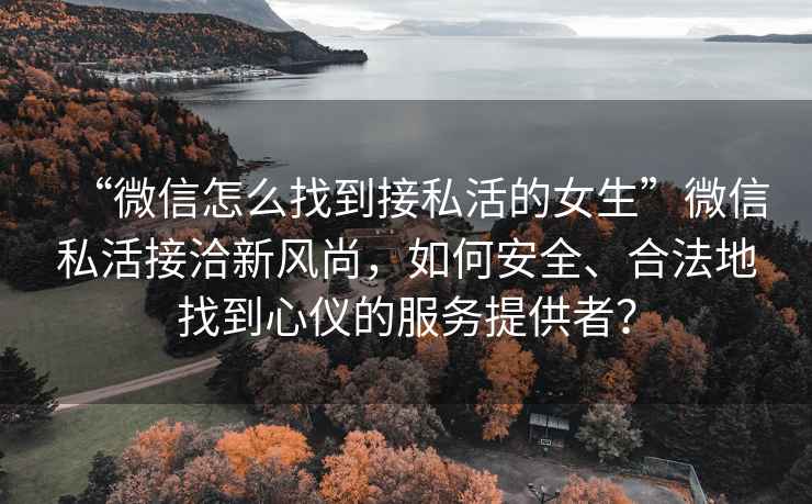“微信怎么找到接私活的女生”微信私活接洽新風尚，如何安全、合法地找到心儀的服務提供者？