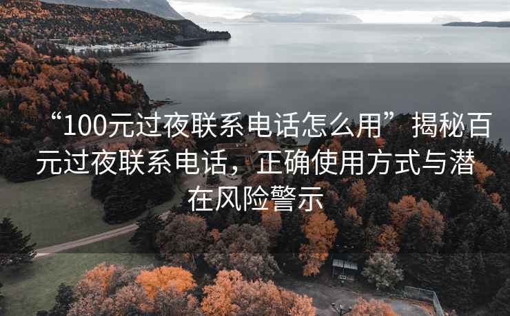 “100元過夜聯(lián)系電話怎么用”揭秘百元過夜聯(lián)系電話，正確使用方式與潛在風(fēng)險(xiǎn)警示