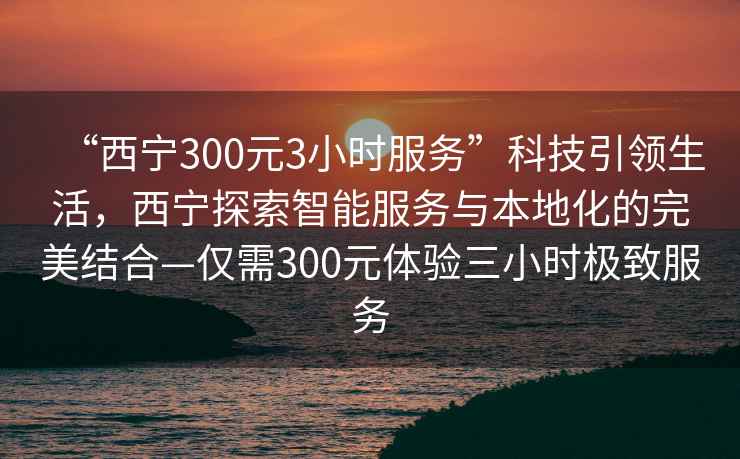 “西寧300元3小時服務”科技引領生活，西寧探索智能服務與本地化的完美結合—僅需300元體驗三小時極致服務