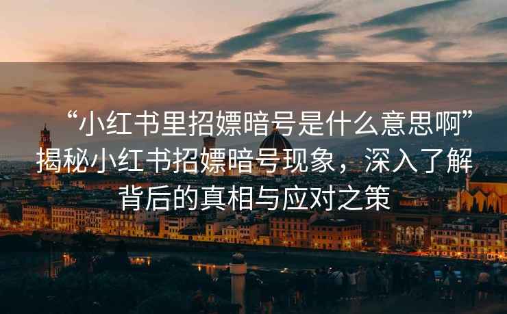 “小紅書里招嫖暗號是什么意思啊”揭秘小紅書招嫖暗號現象，深入了解背后的真相與應對之策