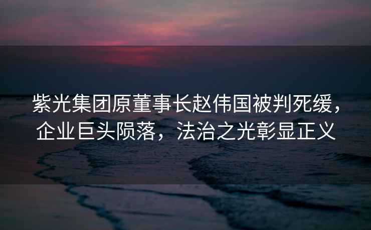 紫光集團原董事長趙偉國被判死緩，企業巨頭隕落，法治之光彰顯正義